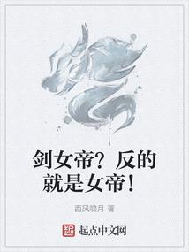 青花龙凤壶传