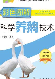 我不是杨花