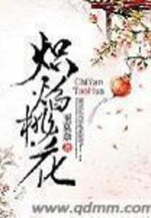 虚拟大盗