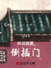 翼旋大陆