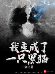巫陆黎辰