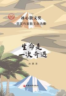 新光游记