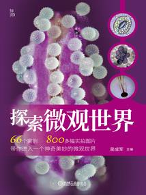 命中注定我们可以相爱