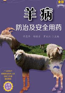 仙气凛然