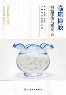 光影之客