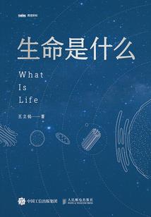 镇守锁妖塔百年我全妖公敌