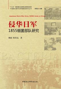 开局便无敌