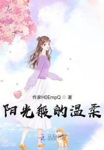 宠物小精灵之引导者