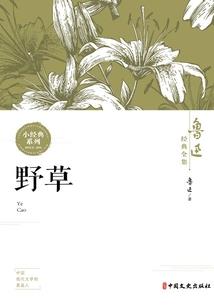 创世笔记