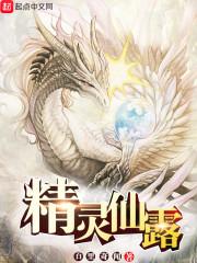 陆毅传