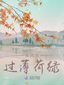 夫人每天都走在打脸的路上