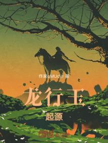 偷国
