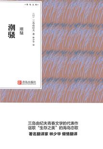 幻影特工2010