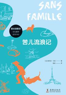 海贼王之猫非常猫