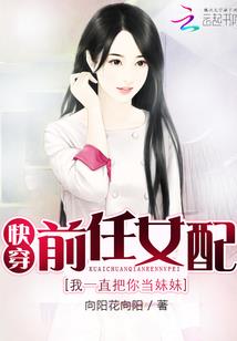 奇英传之孟丽君