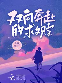 乱栖流光