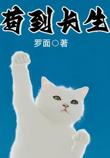 巫师的文明