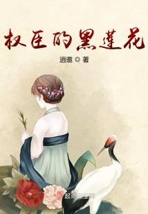 快穿之王者荣耀