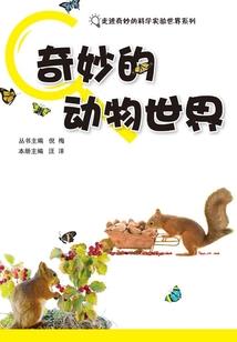 寂梦重生