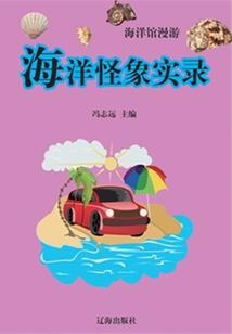幻灵月甲