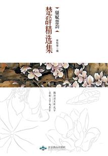 我的世界之旷世奇葩