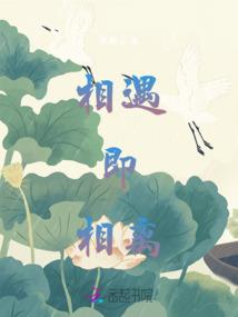 金玉断魂雪