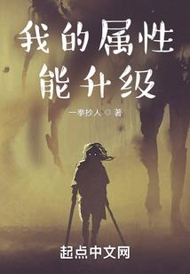追风月