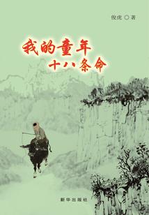 穿越之红楼看客