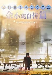 次元轮回之随机系统