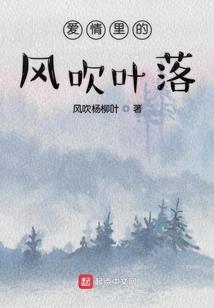 顾笑有佳人