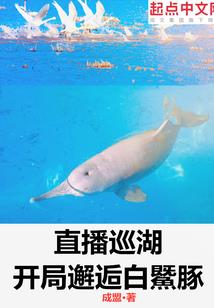 林风的奇妙冒险故事
