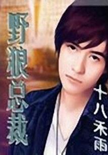 你大概是九亿少女的梦