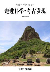 腹黑夫君的小丫头