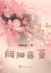 修仙：无限生活，无限成长