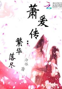 传奇书使
