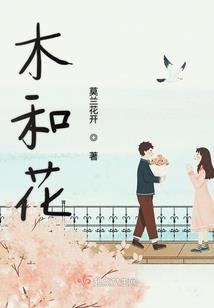狐狸之心