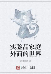 凌云之域