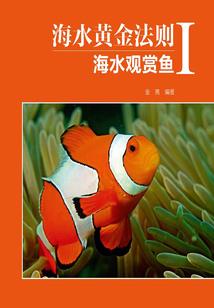 妾常难宠