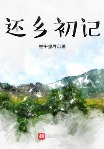赛博相师