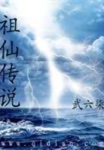 树荫下的落叶