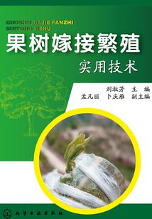 金融小咸鱼的幸福生活