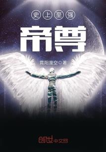 幻境之影