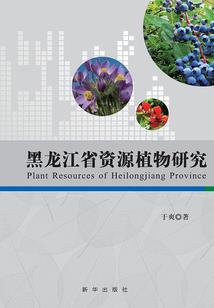 千雷荒火