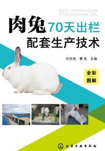 夫视眈眈：一品妖妃千千岁