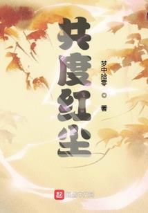 小叫花子救世录