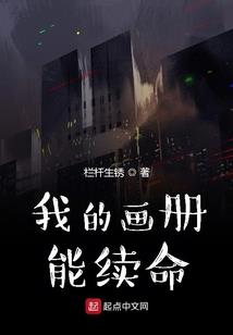 岚迷杀手