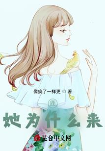 醉酒谈西游