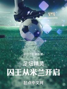 一路盗版