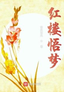 娱乐公司