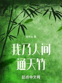神奇宝贝之茂爷传说